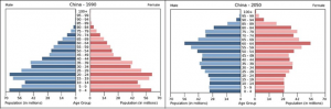 China Aging Population Graph